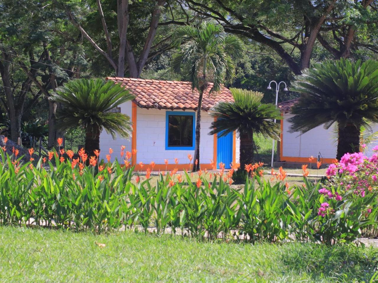 Pinares * La Pintada